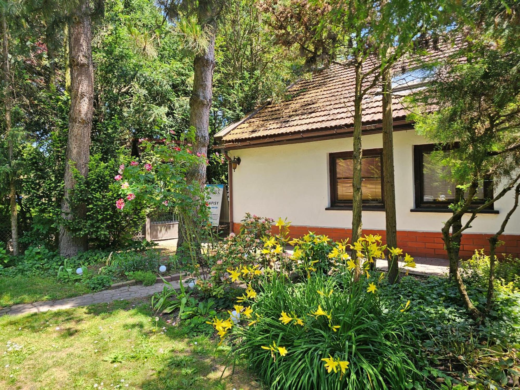 Park Apartment Krakkó Kültér fotó