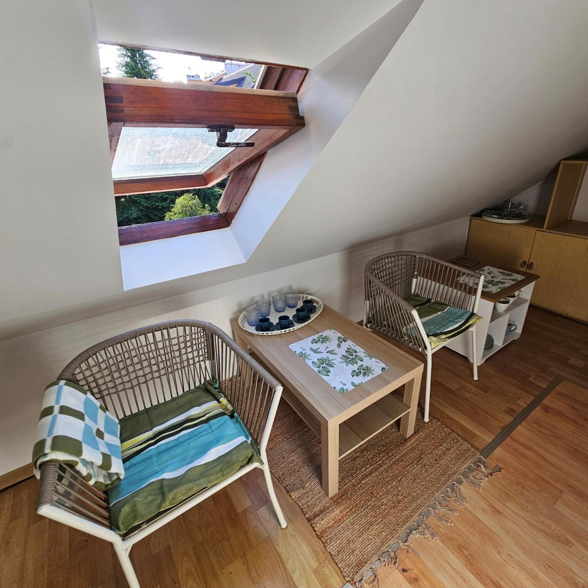Park Apartment Krakkó Kültér fotó